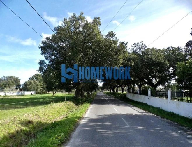 Moradia T3 para Venda em Glória do Ribatejo e Granho Foto 44