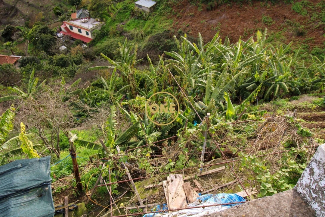 Terreno para Venda em Estreito de Camara de Lobos Foto 2