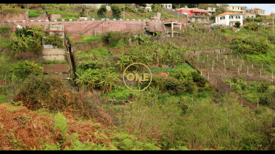Terreno para Venda em Estreito de Camara de Lobos
