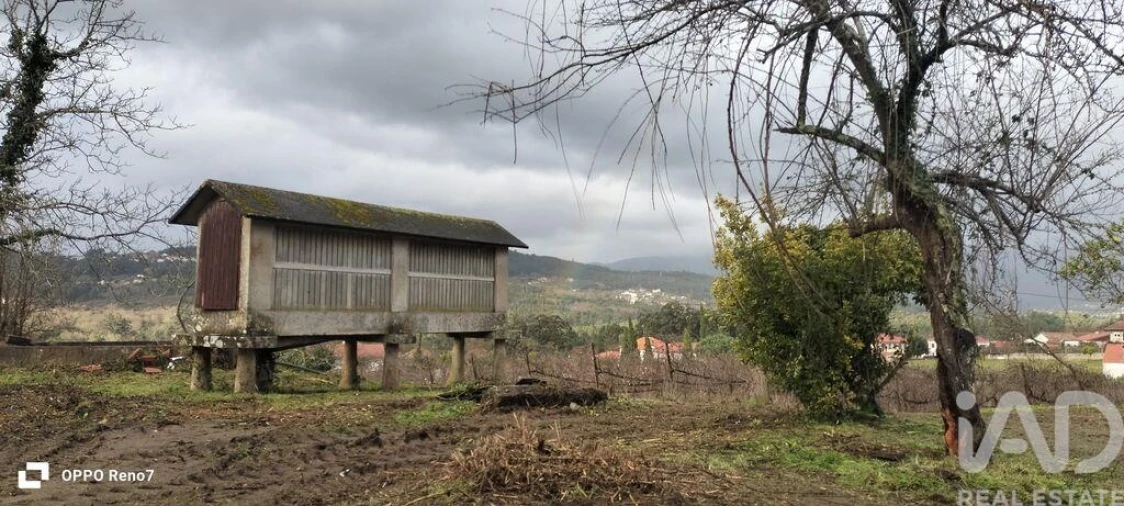 Quinta T11 para Venda em Barbeita Foto 37
