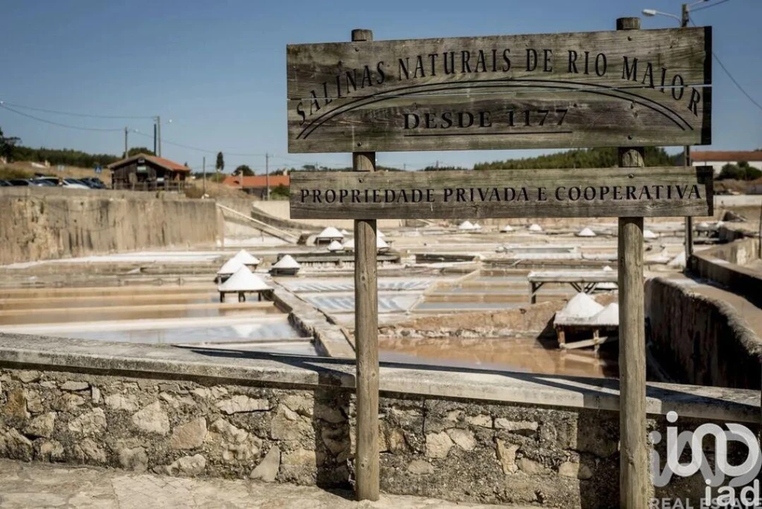 Terreno para Venda em Rio Maior Foto 6