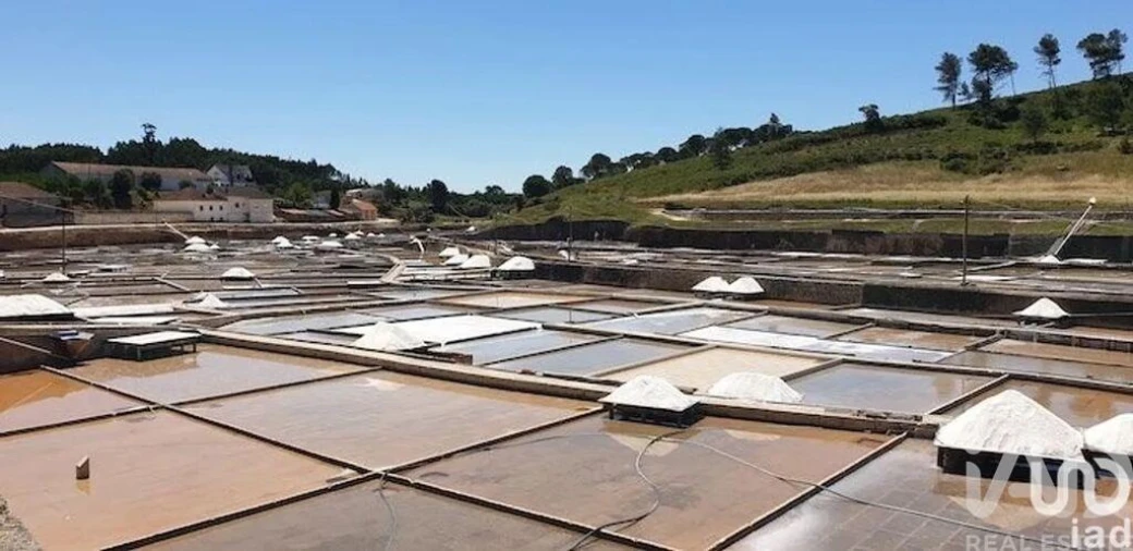 Terreno para Venda em Rio Maior Foto 7