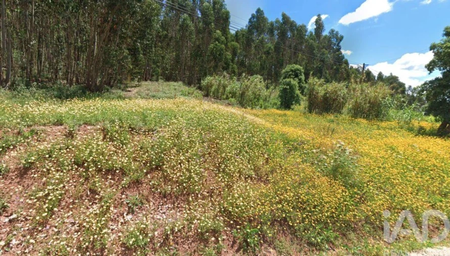 Terreno para Venda em Rio Maior