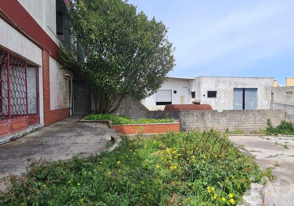 Prédio para Venda em Lourinhã e Atalaia Foto 6