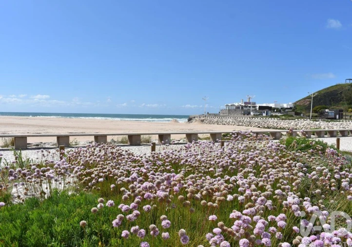Prédio para Venda em Lourinhã e Atalaia Foto 18