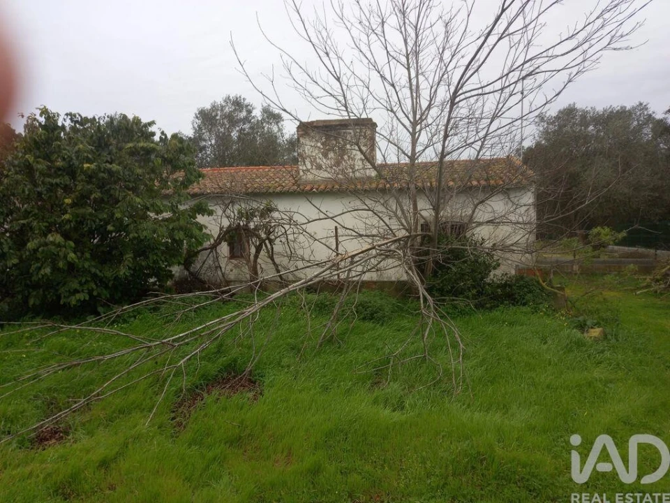 Quinta T1 para Venda em Santo Andre Foto 6