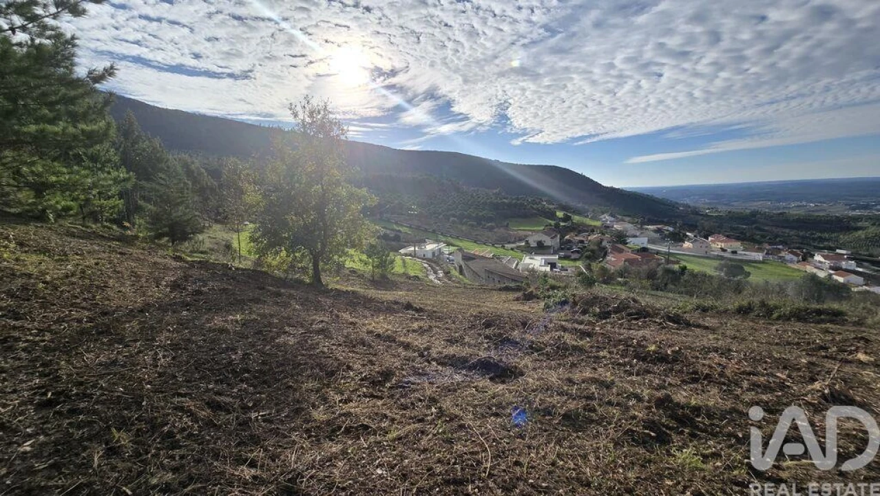 Terreno para Venda em Lamas e Cercal Foto 1