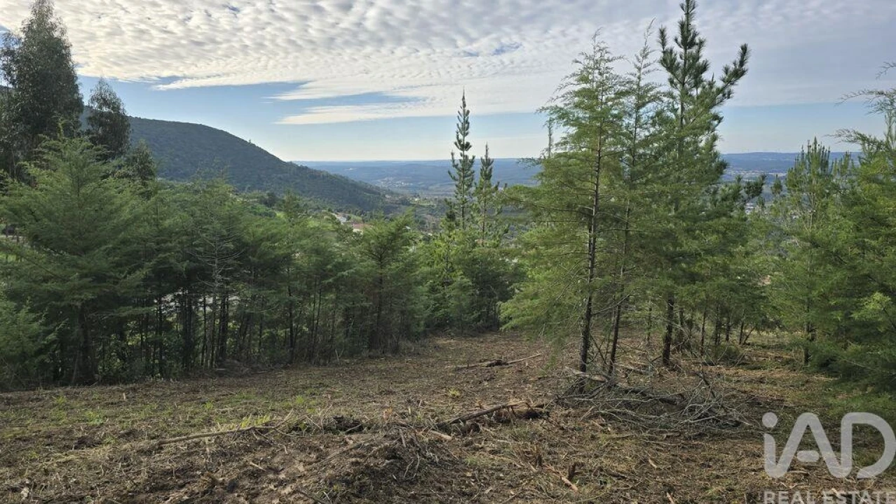 Terreno para Venda em Lamas e Cercal Foto 8