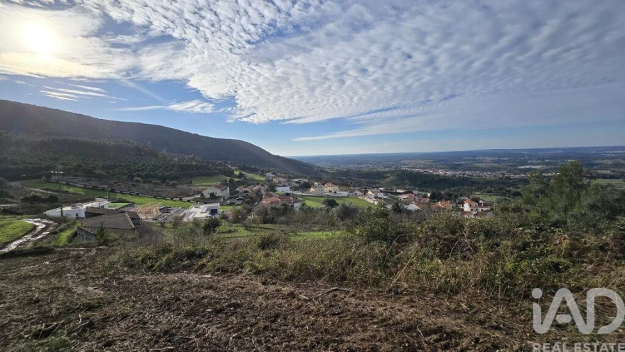 Terreno para Venda em Lamas e Cercal Foto 14
