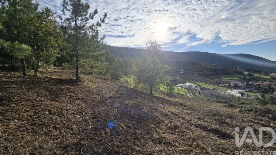 Terreno para Venda em Lamas e Cercal Foto 4