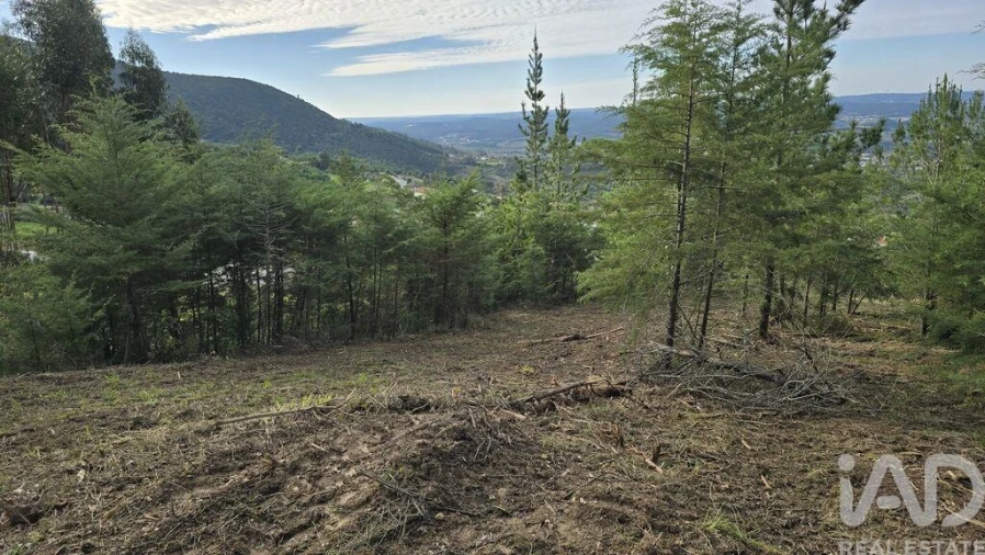Terreno para Venda em Lamas e Cercal Foto 15