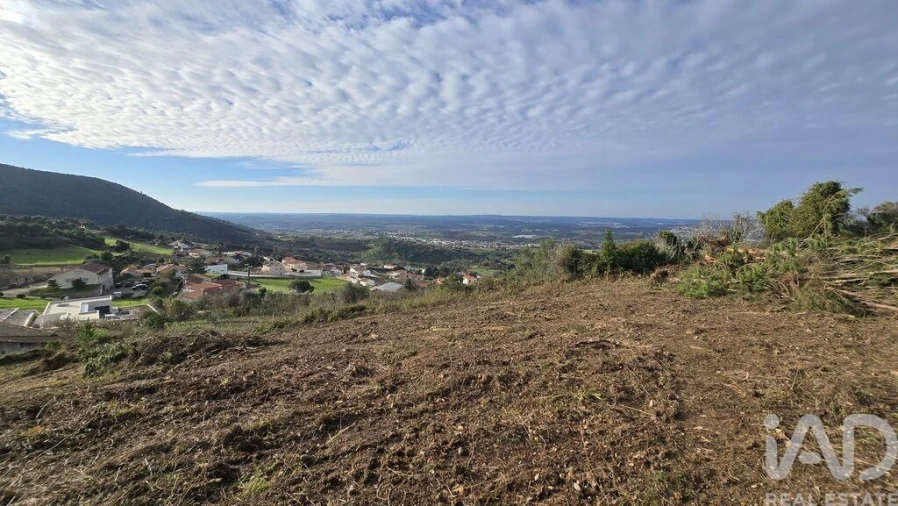 Terreno para Venda em Lamas e Cercal Foto 12