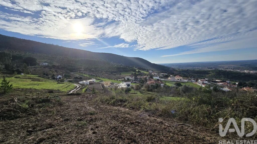 Terreno para Venda em Lamas e Cercal Foto 7