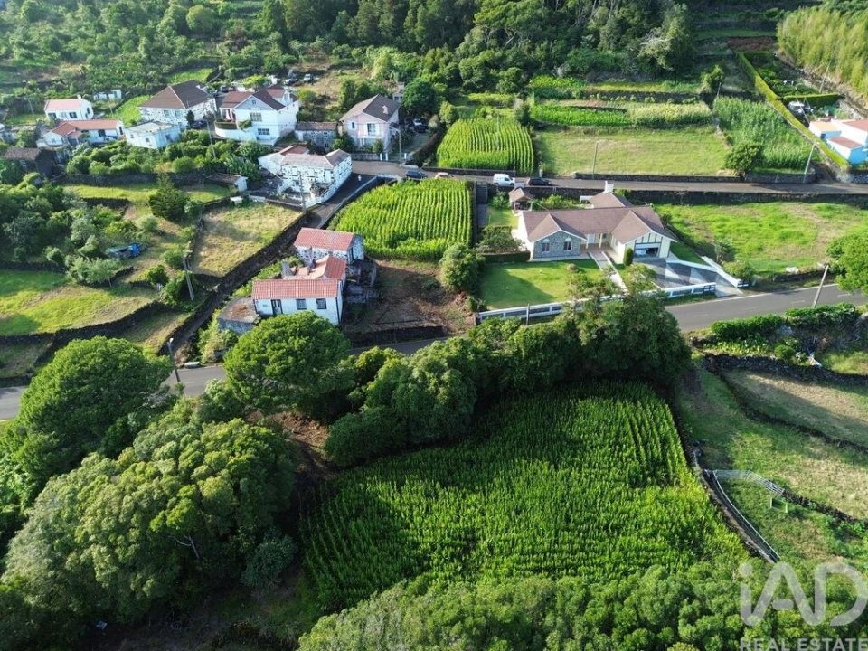Terreno para Venda em Ribeiras Foto 6