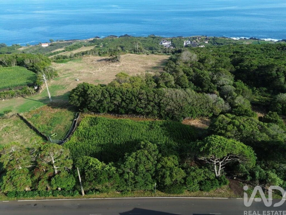 Terreno para Venda em Ribeiras Foto 7