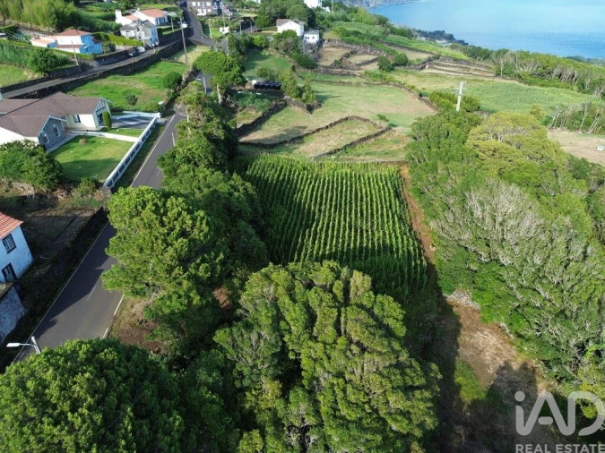 Terreno para Venda em Ribeiras Foto 3