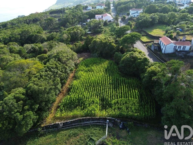 Terreno para Venda em Ribeiras Foto 5