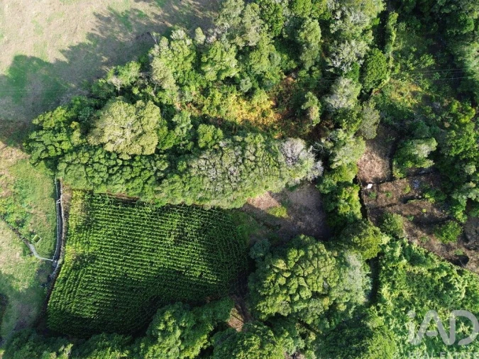 Terreno para Venda em Ribeiras Foto 1