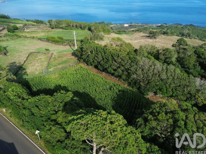 Terreno para Venda em Ribeiras Foto 3