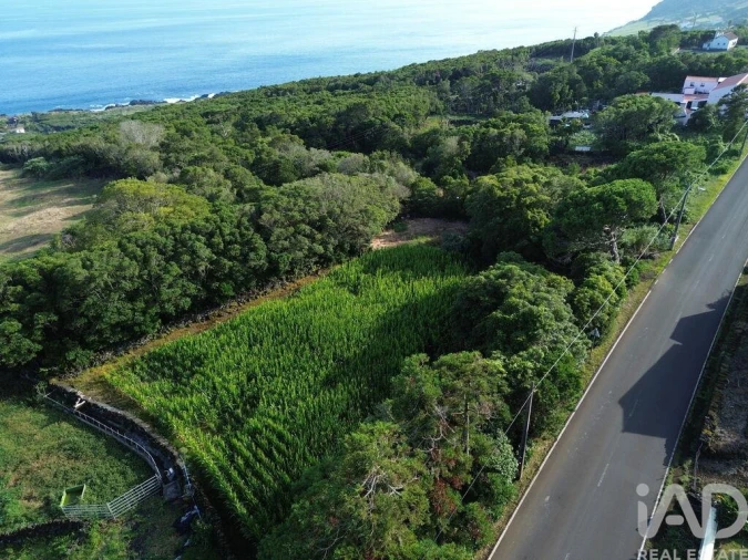 Terreno para Venda em Ribeiras Foto 8