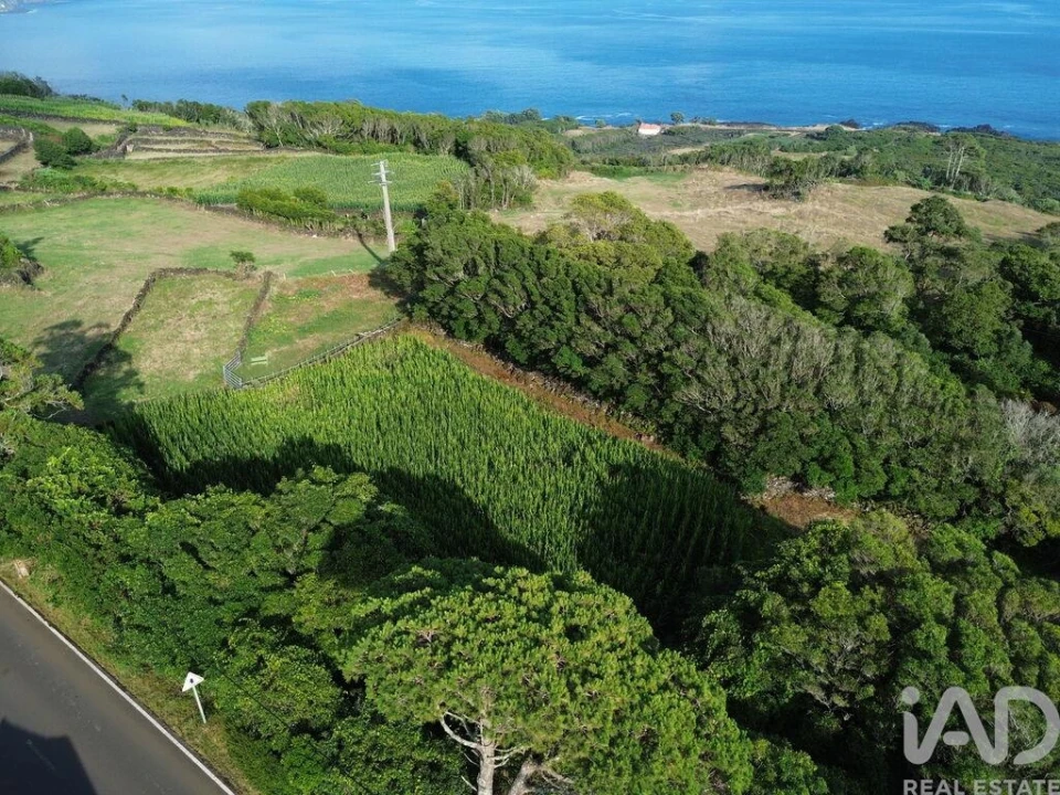 Terreno para Venda em Ribeiras Foto 3