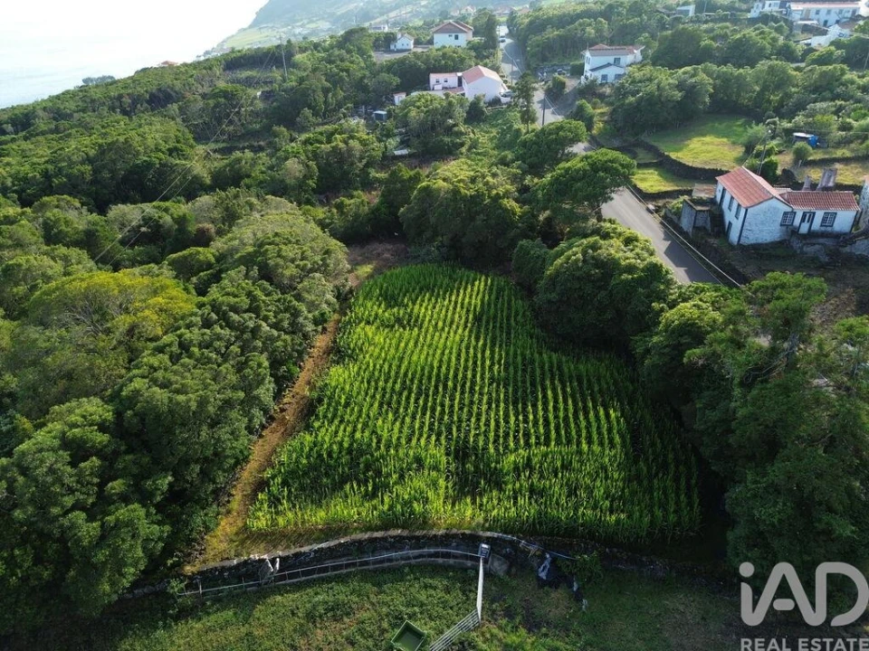 Terreno para Venda em Ribeiras Foto 4