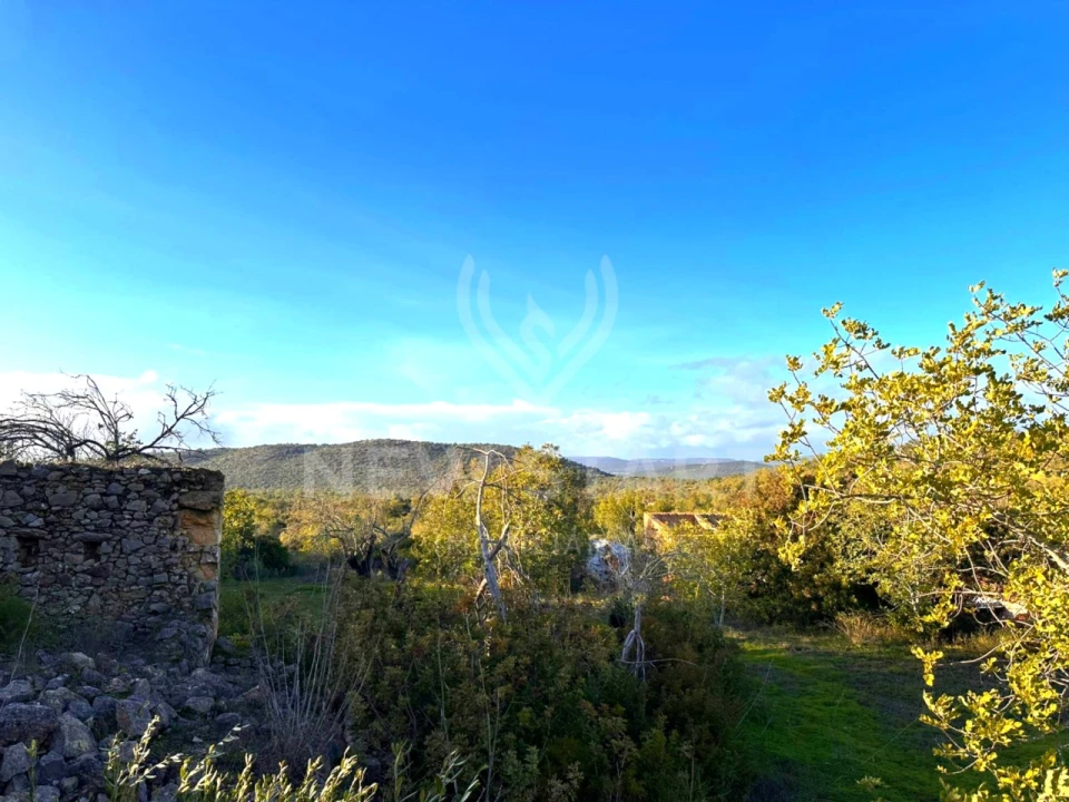 Terreno Misto para Venda em Boliqueime Foto 3