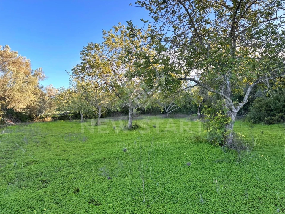 Terreno Misto para Venda em Boliqueime Foto 16