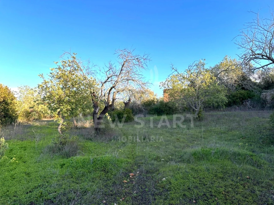 Terreno Misto para Venda em Boliqueime Foto 18
