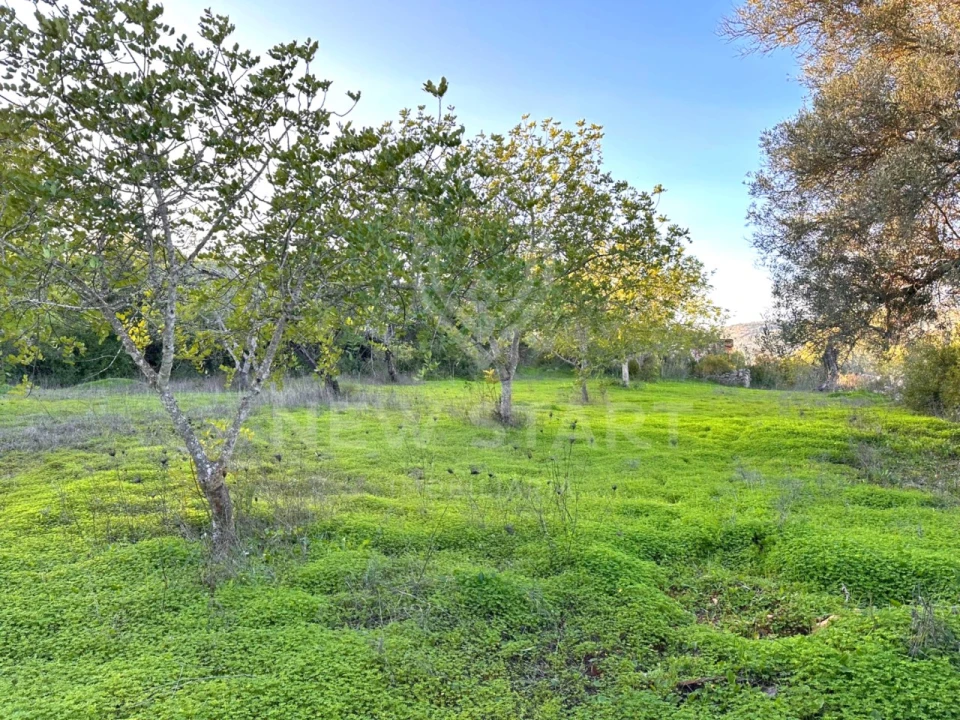 Terreno Misto para Venda em Boliqueime Foto 20