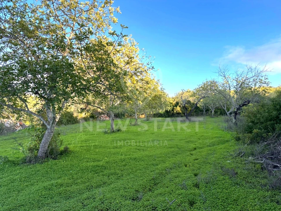 Terreno Misto para Venda em Boliqueime Foto 21