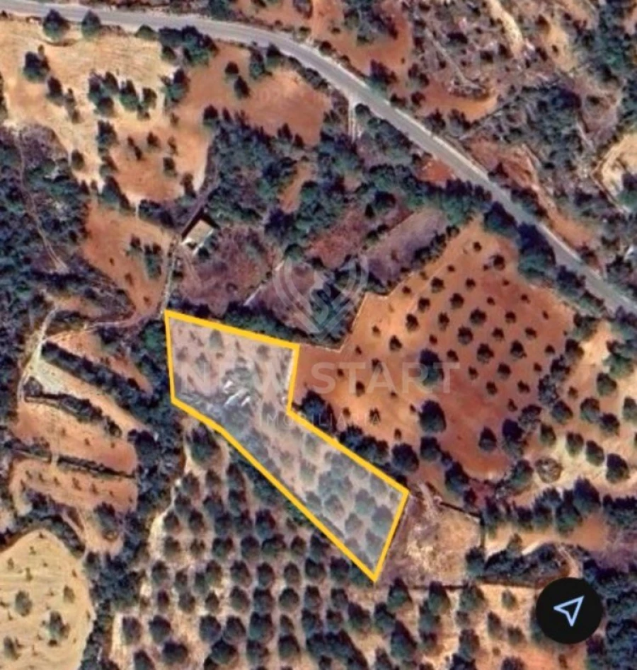 Terreno Misto para Venda em Boliqueime Foto 5