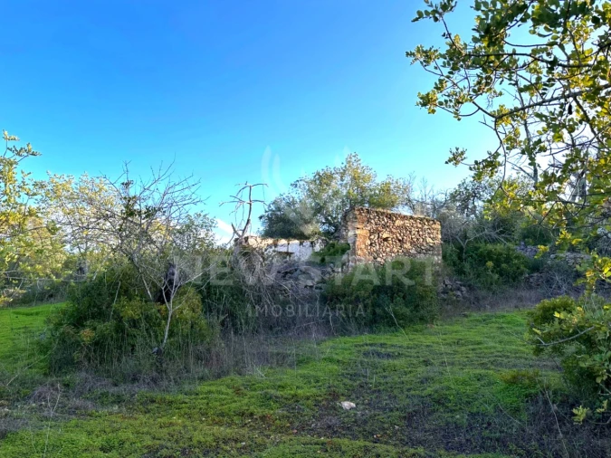 Terreno Misto para Venda em Boliqueime Foto 8