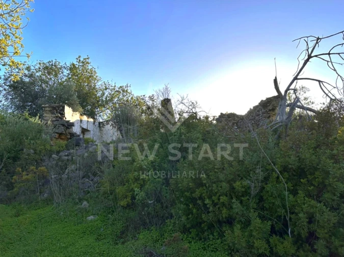 Terreno Misto para Venda em Boliqueime Foto 11