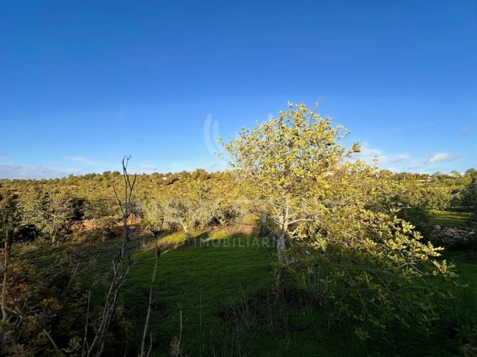 Terreno Misto para Venda em Boliqueime Foto 15