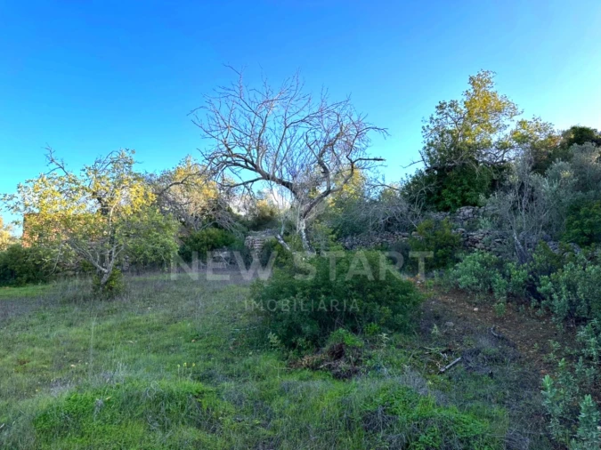 Terreno Misto para Venda em Boliqueime Foto 17