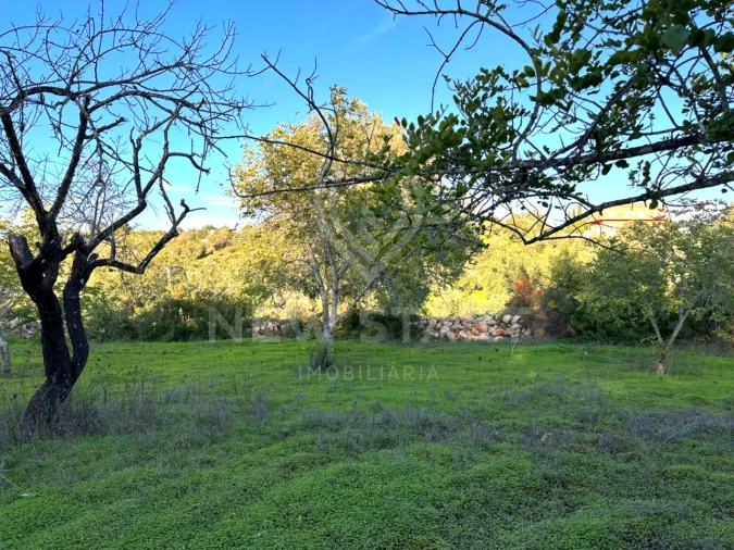 Terreno Misto para Venda em Boliqueime Foto 19