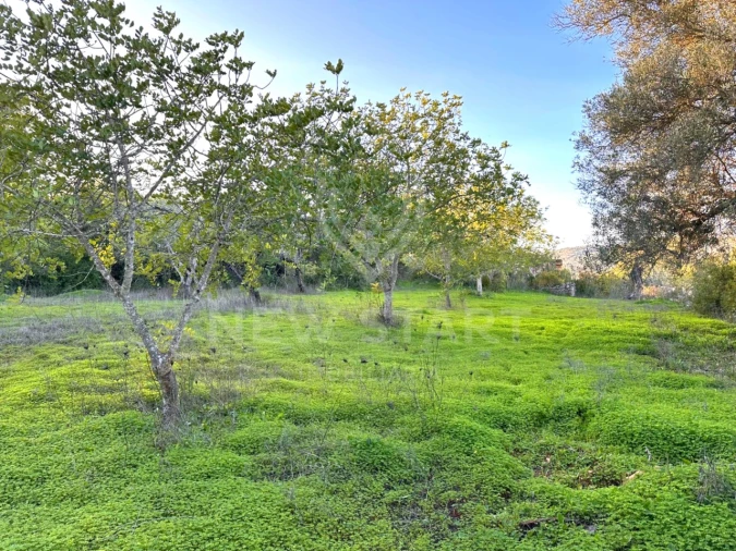 Terreno Misto para Venda em Boliqueime Foto 20