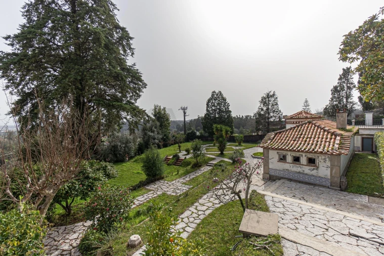 Quinta T55 para Venda em Macinhata do Vouga Foto 22
