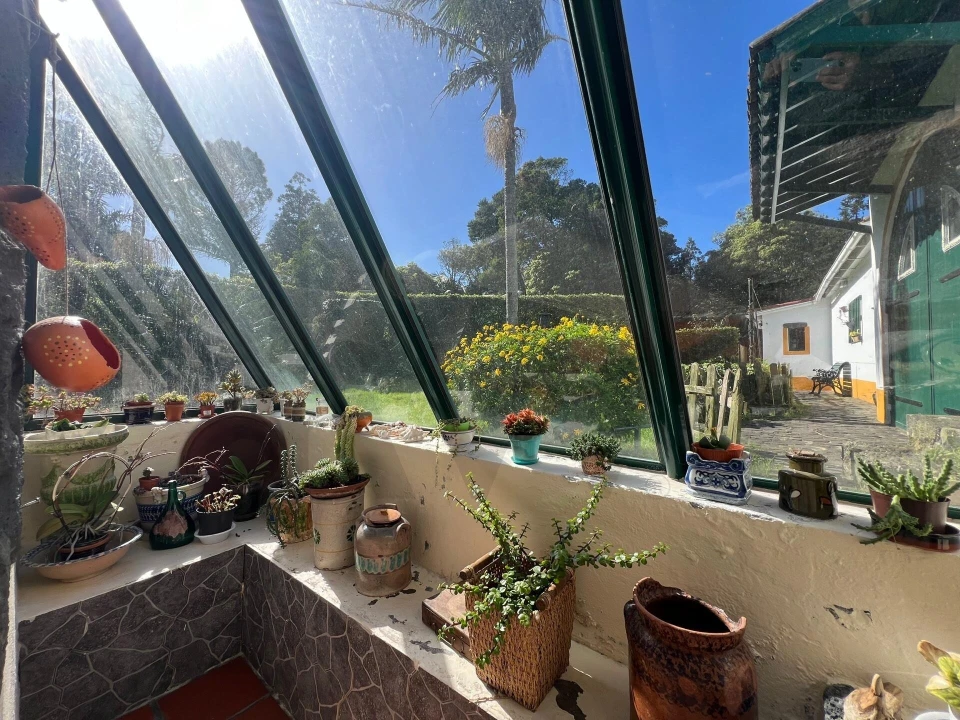 Moradia T3 para Venda em São Vicente Ferreira Foto 17