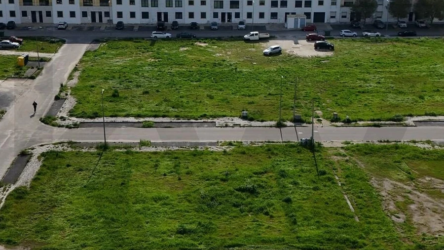 Terreno para Venda em Coruche, Fajarda e Erra