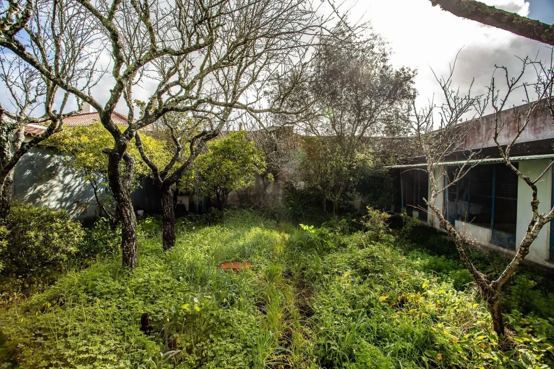 Moradia T5 para Venda em Algueirão-Mem Martins Foto 10