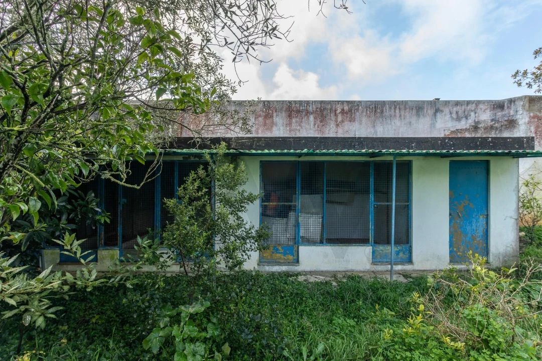 Moradia T5 para Venda em Algueirão-Mem Martins Foto 12