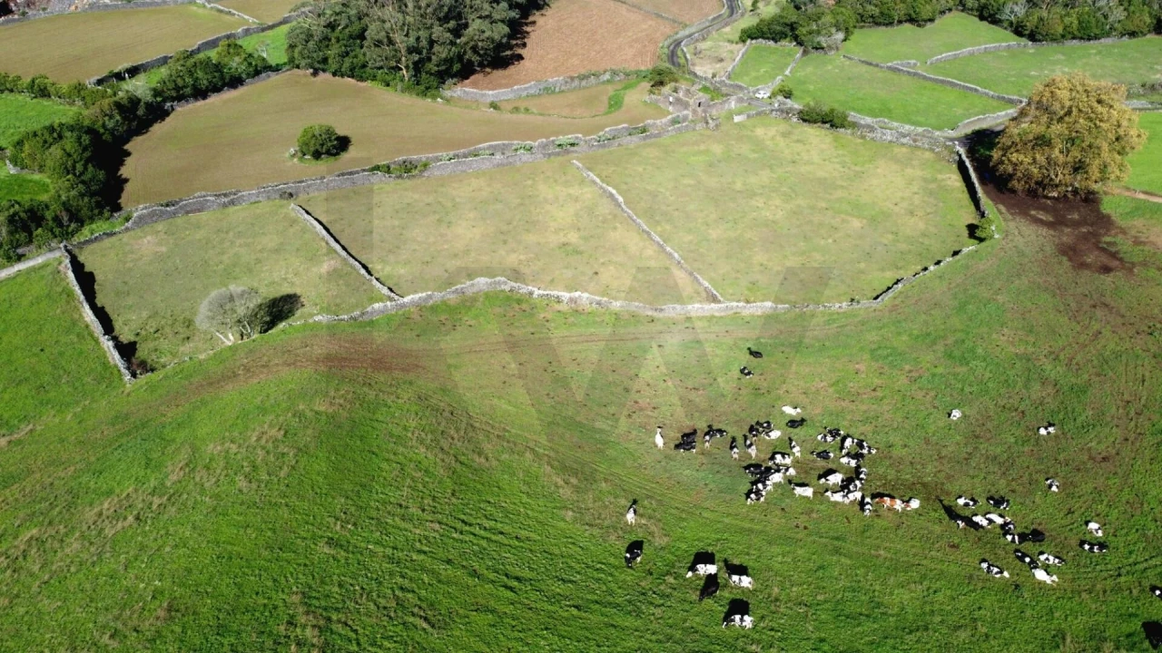 Terreno para Venda em Rabo de Peixe Foto 3