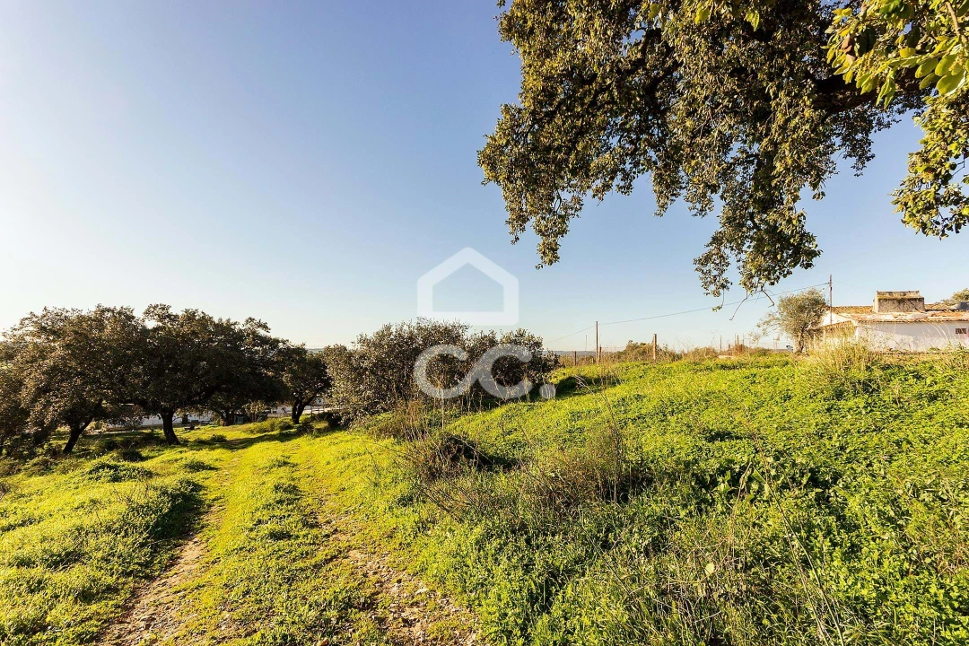 Terreno para Venda em Malagueira e Horta das Figueiras Foto 11