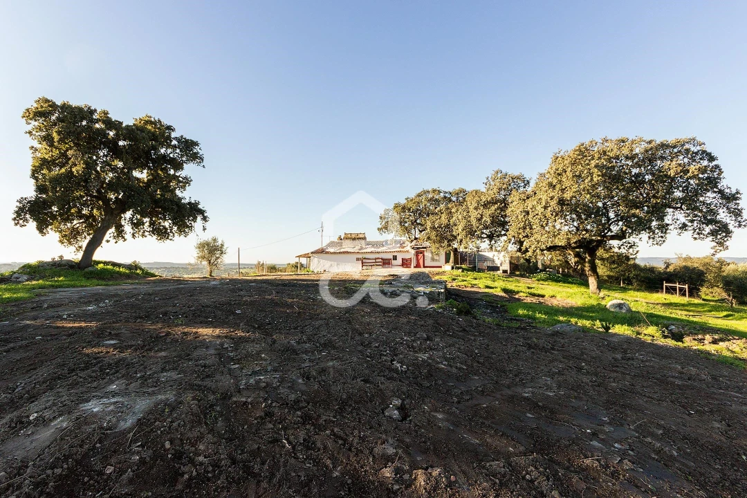 Terreno para Venda em Malagueira e Horta das Figueiras Foto 4
