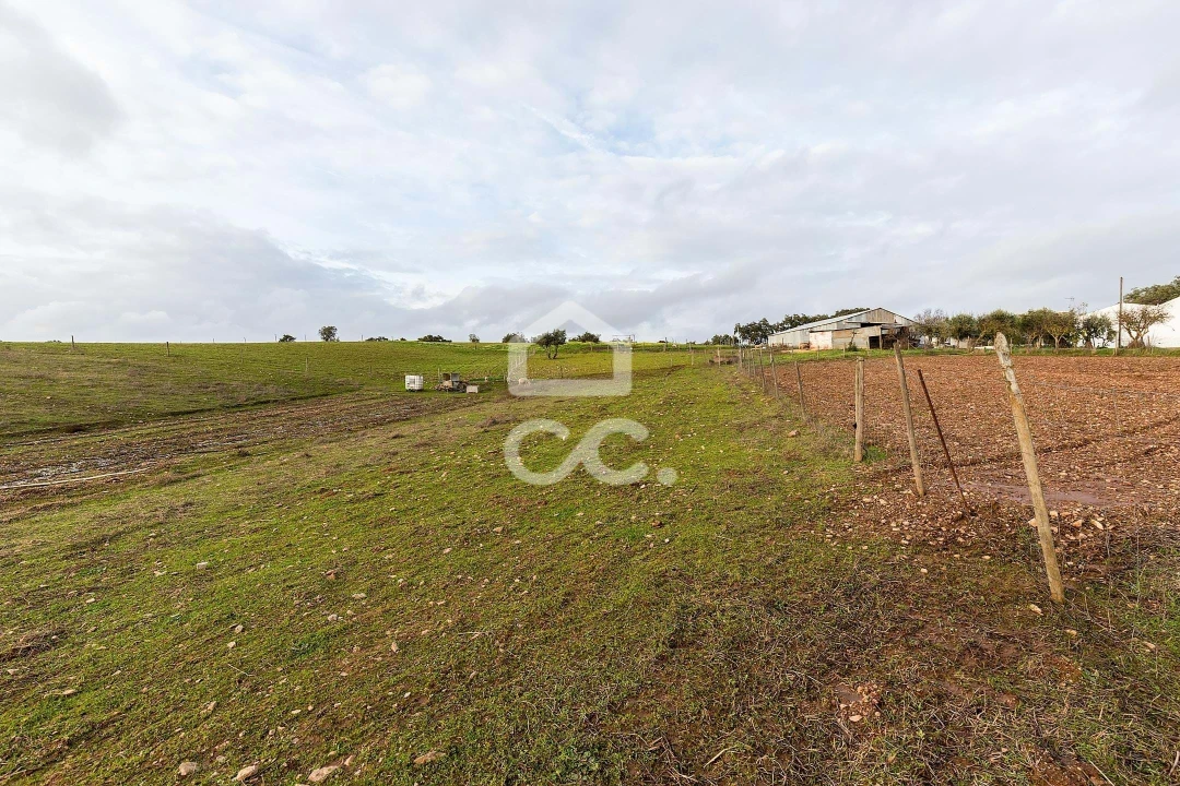 Quinta T5 para Venda em Nossa Senhora de Machede Foto 53