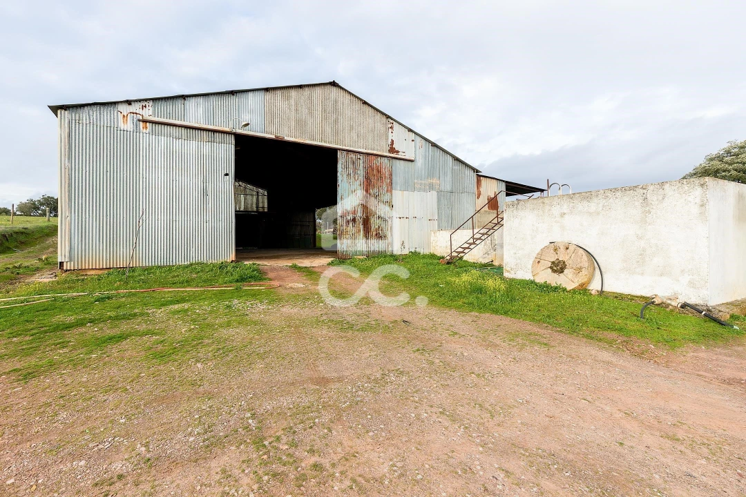 Quinta T5 para Venda em Nossa Senhora de Machede Foto 41