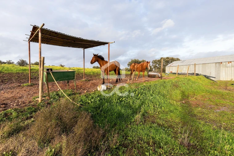 Quinta T5 para Venda em Nossa Senhora de Machede Foto 51