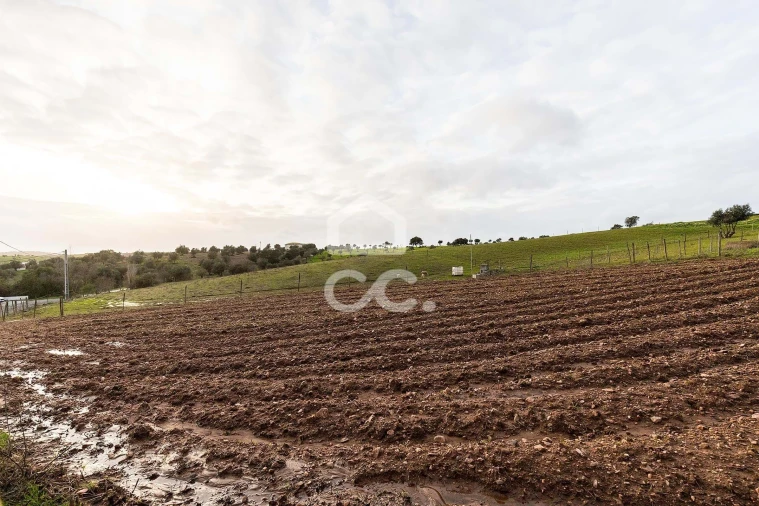 Quinta T5 para Venda em Nossa Senhora de Machede Foto 55